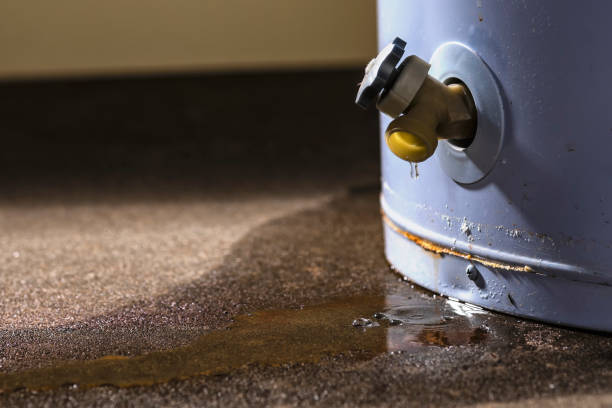 Best Water damage restoration specialists  in Chowchilla, CA