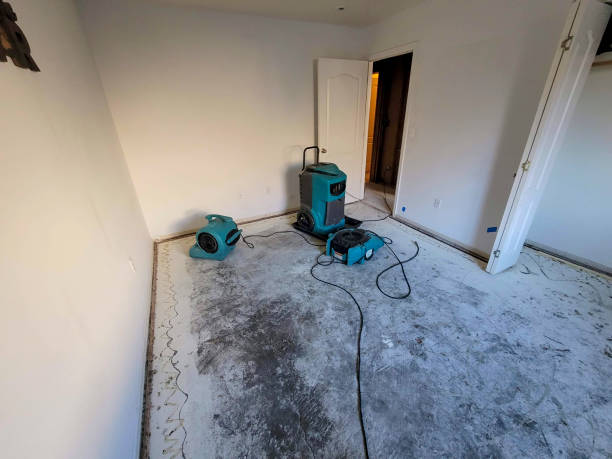 Best Basement water damage restoration  in Chowchilla, CA