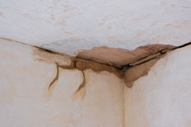Best Water damage restoration process  in Chowchilla, CA