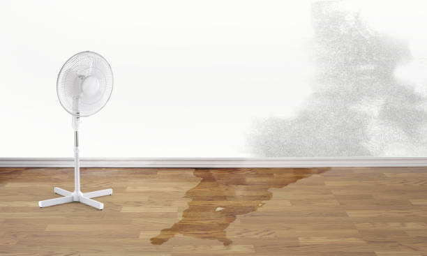 Water damage restoration insurance claims in Chowchilla, CA