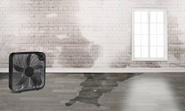 Best Ceiling water damage repair  in Chowchilla, CA