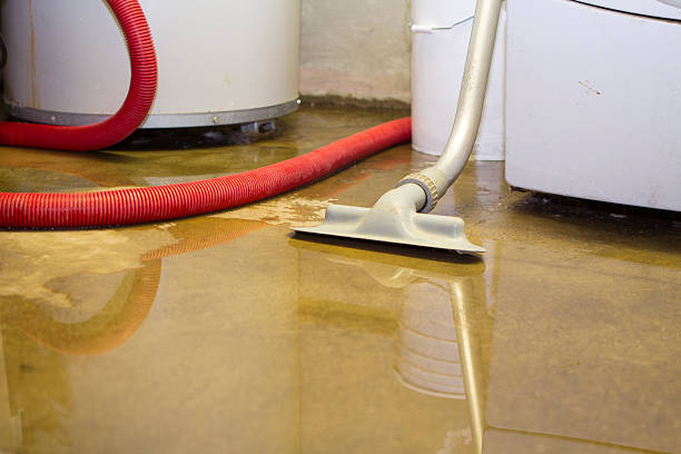 Best Water damage restoration mold remediation  in Chowchilla, CA